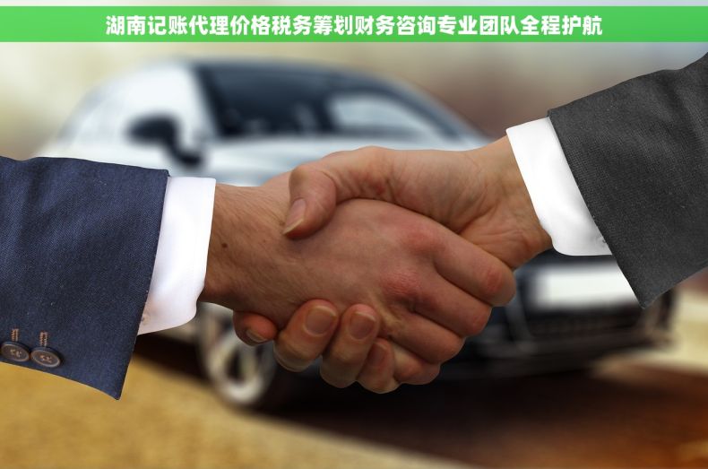 湖南记账代理价格税务筹划财务咨询专业团队全程护航
