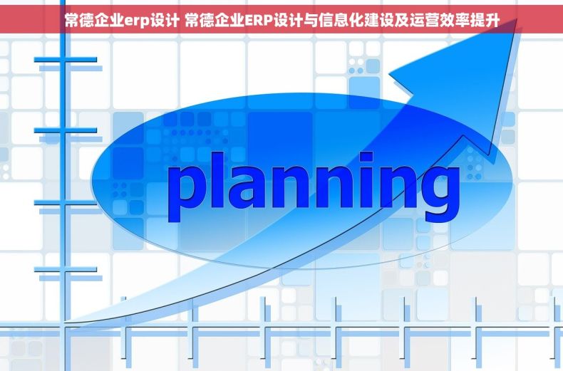常德企业erp设计 常德企业ERP设计与信息化建设及运营效率提升