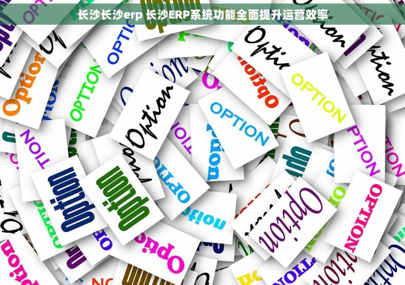 长沙长沙erp 长沙ERP系统功能全面提升运营效率