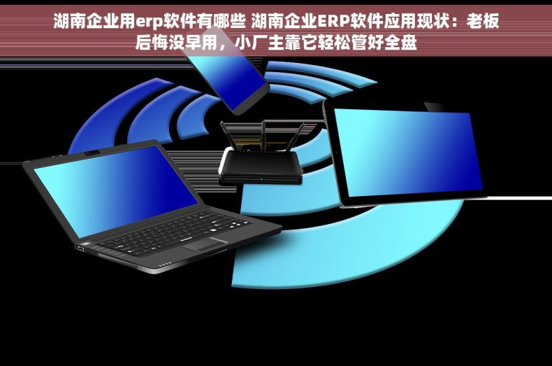 湖南企业用erp软件有哪些 湖南企业ERP软件应用现状：老板后悔没早用，小厂主靠它轻松管好全盘