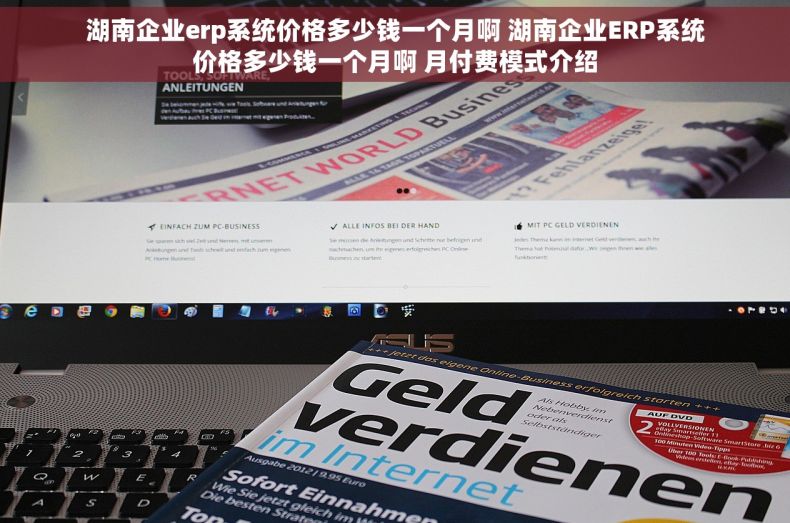 湖南企业erp系统价格多少钱一个月啊 湖南企业ERP系统价格多少钱一个月啊 月付费模式介绍