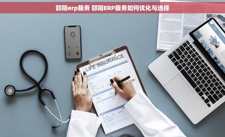 邵阳erp服务 邵阳ERP服务如何优化与选择