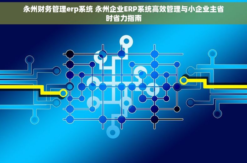 永州财务管理erp系统 永州企业ERP系统高效管理与小企业主省时省力指南