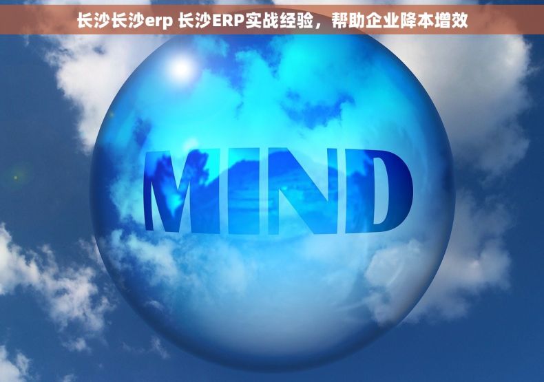 长沙长沙erp 长沙ERP实战经验，帮助企业降本增效