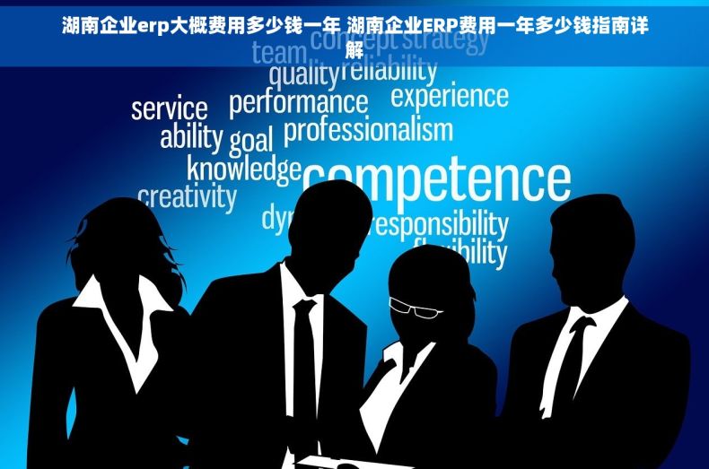 湖南企业erp大概费用多少钱一年 湖南企业ERP费用一年多少钱指南详解