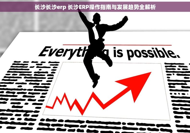 长沙长沙erp 长沙ERP操作指南与发展趋势全解析