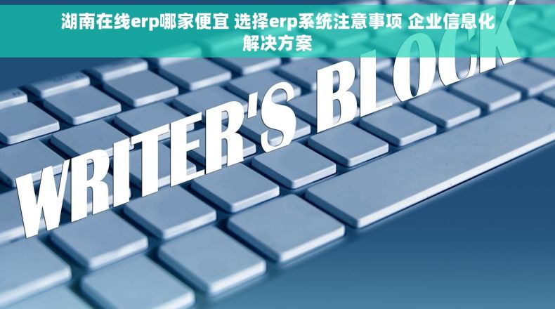 湖南在线erp哪家便宜 选择erp系统注意事项 企业信息化解决方案