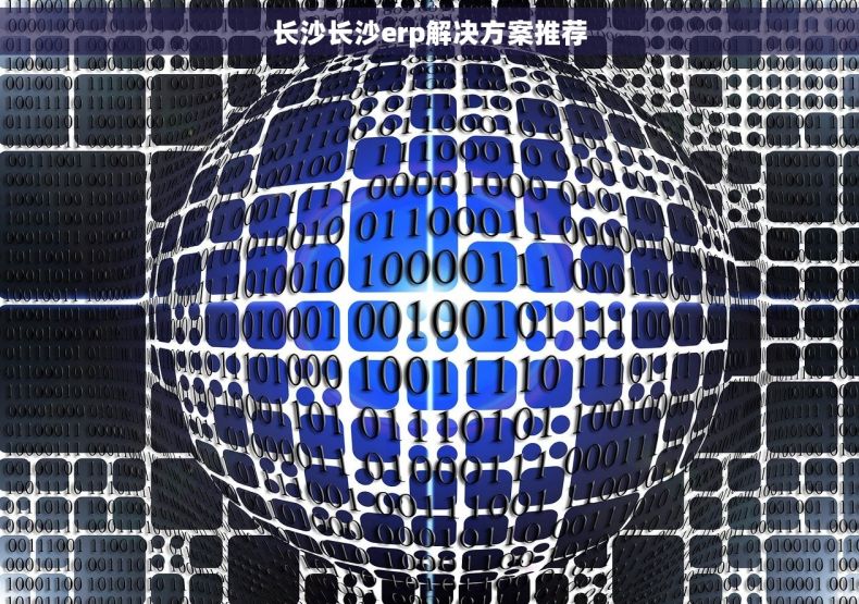 长沙长沙erp解决方案推荐
