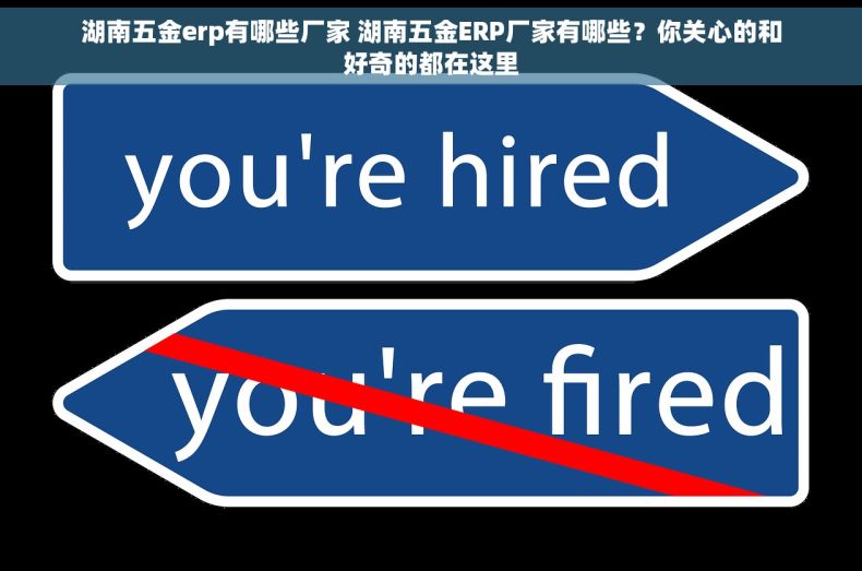 湖南五金erp有哪些厂家 湖南五金ERP厂家有哪些？你关心的和好奇的都在这里