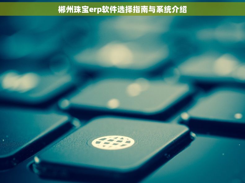 郴州珠宝erp软件选择指南与系统介绍