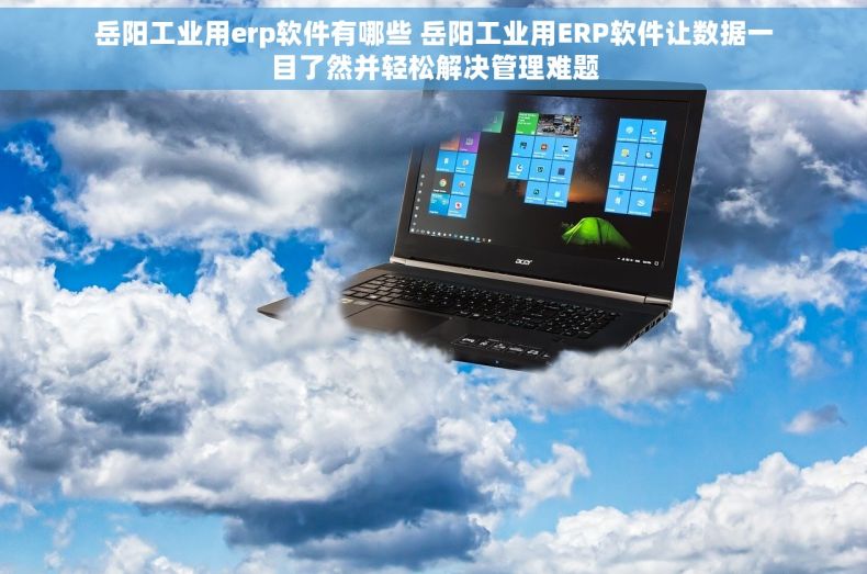 岳阳工业用erp软件有哪些 岳阳工业用ERP软件让数据一目了然并轻松解决管理难题