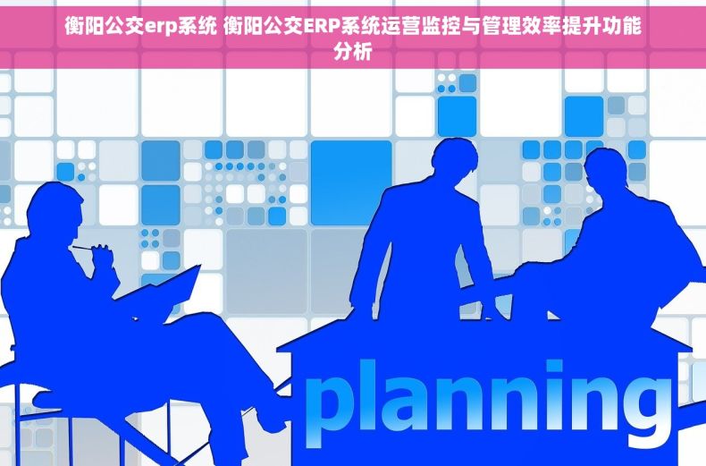 衡阳公交erp系统 衡阳公交ERP系统运营监控与管理效率提升功能分析