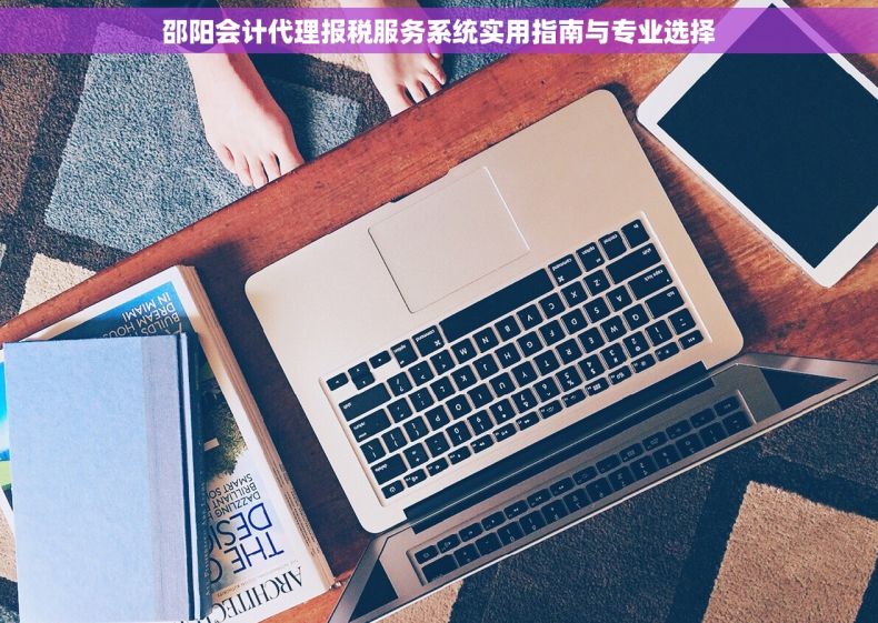 邵阳会计代理报税服务系统实用指南与专业选择