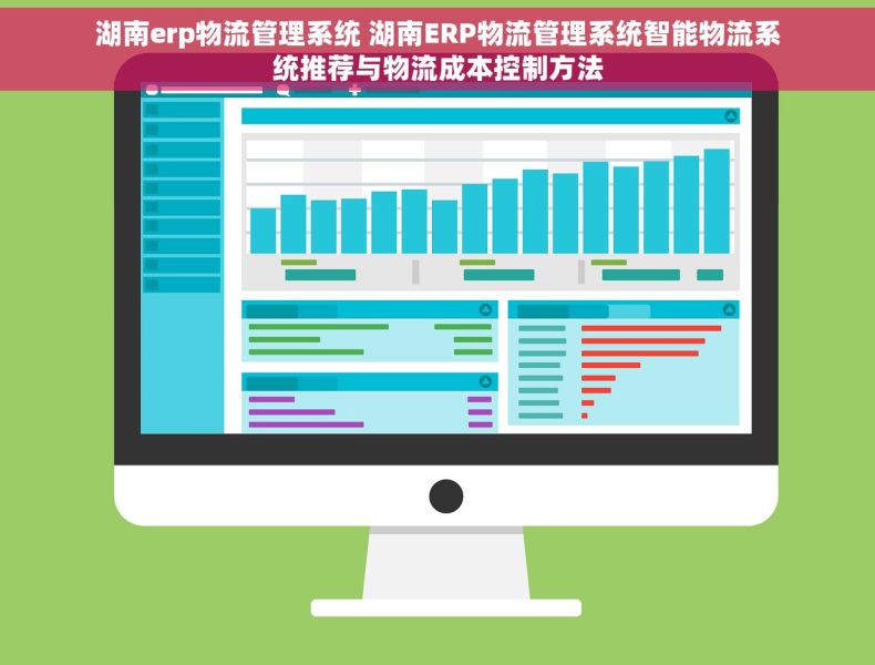 湖南erp物流管理系统 湖南ERP物流管理系统智能物流系统推荐与物流成本控制方法