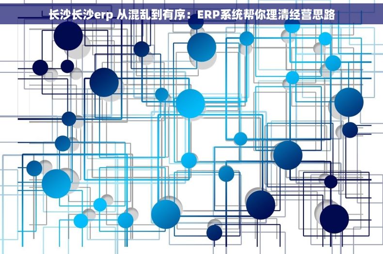 长沙长沙erp 从混乱到有序：ERP系统帮你理清经营思路