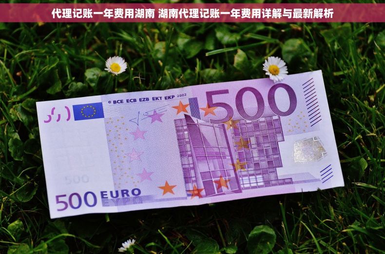 代理记账一年费用湖南 湖南代理记账一年费用详解与最新解析