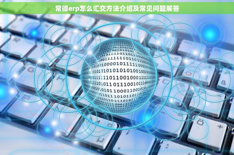 常德erp怎么汇交方法介绍及常见问题解答