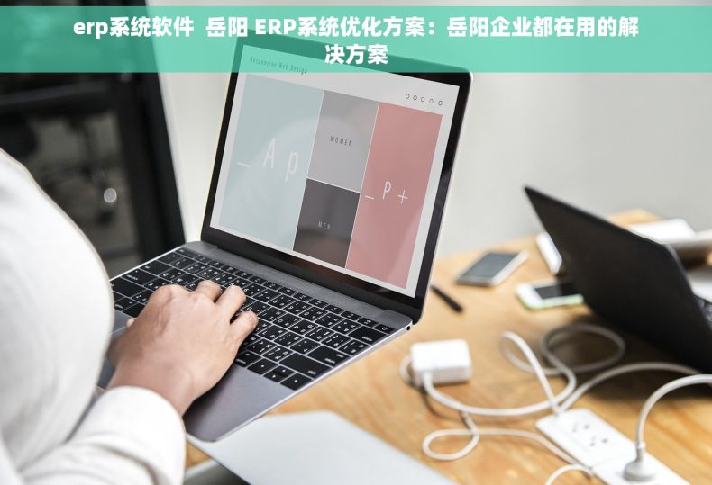 erp系统软件  岳阳 ERP系统优化方案：岳阳企业都在用的解决方案