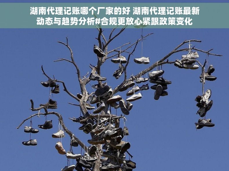 湖南代理记账哪个厂家的好 湖南代理记账最新动态与趋势分析#合规更放心紧跟政策变化