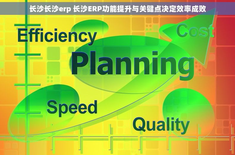 长沙长沙erp 长沙ERP功能提升与关键点决定效率成败