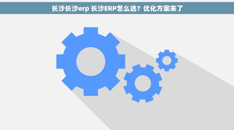 长沙长沙erp 长沙ERP怎么选？优化方案来了