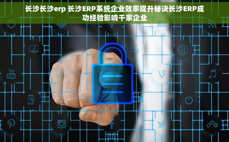 长沙长沙erp 长沙ERP系统企业效率提升秘诀长沙ERP成功经验影响千家企业