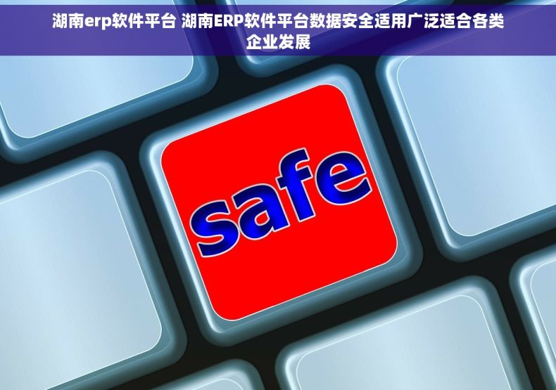 湖南erp软件平台 湖南ERP软件平台数据安全适用广泛适合各类企业发展