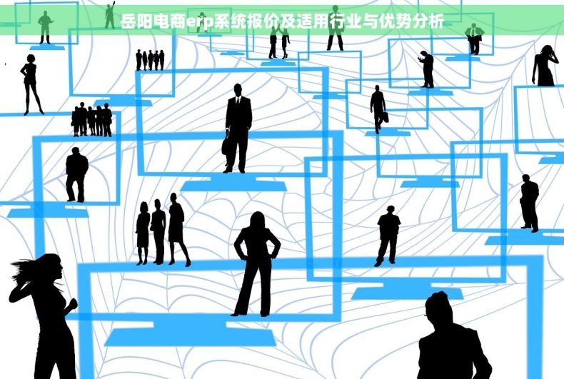 岳阳电商erp系统报价及适用行业与优势分析