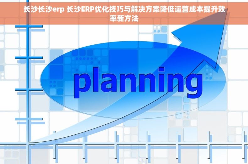 长沙长沙erp 长沙ERP优化技巧与解决方案降低运营成本提升效率新方法