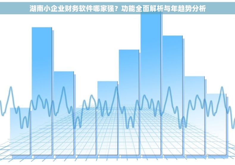 湖南小企业财务软件哪家强？功能全面解析与年趋势分析