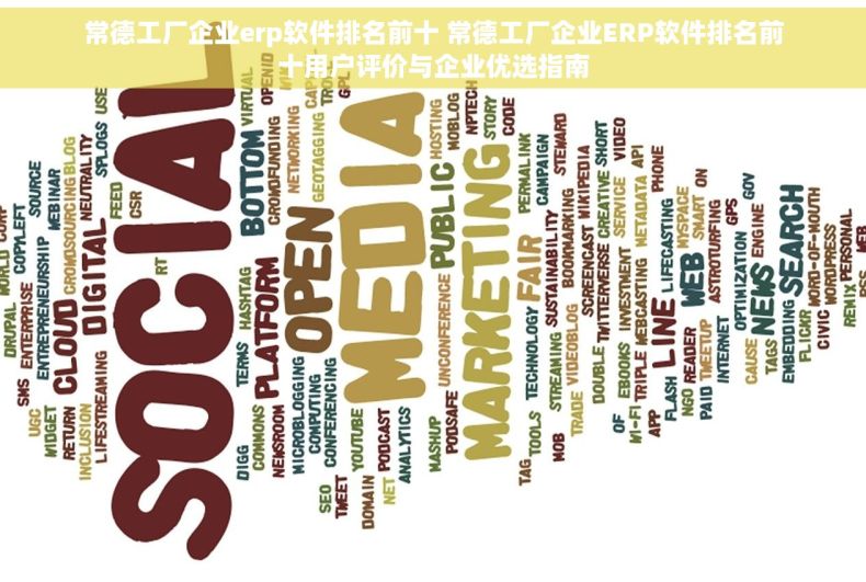 常德工厂企业erp软件排名前十 常德工厂企业ERP软件排名前十用户评价与企业优选指南