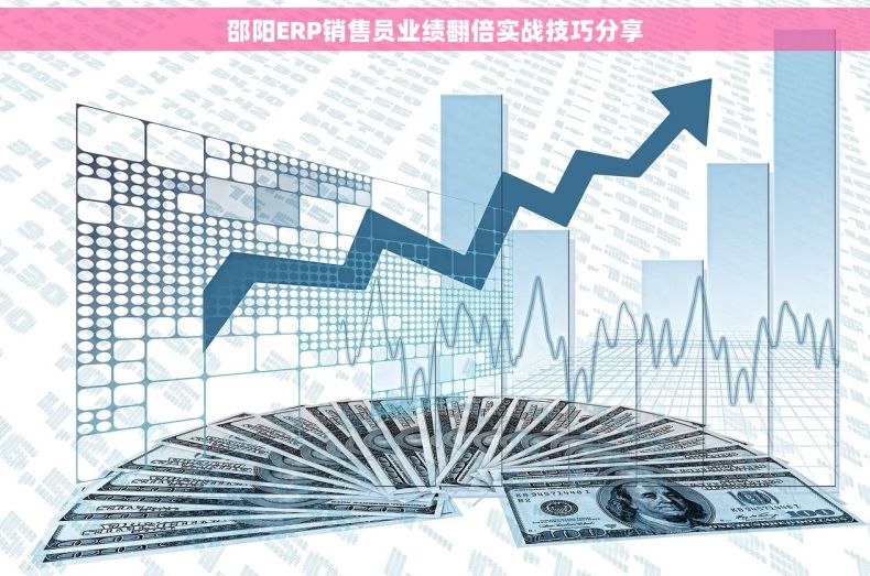 邵阳ERP销售员业绩翻倍实战技巧分享