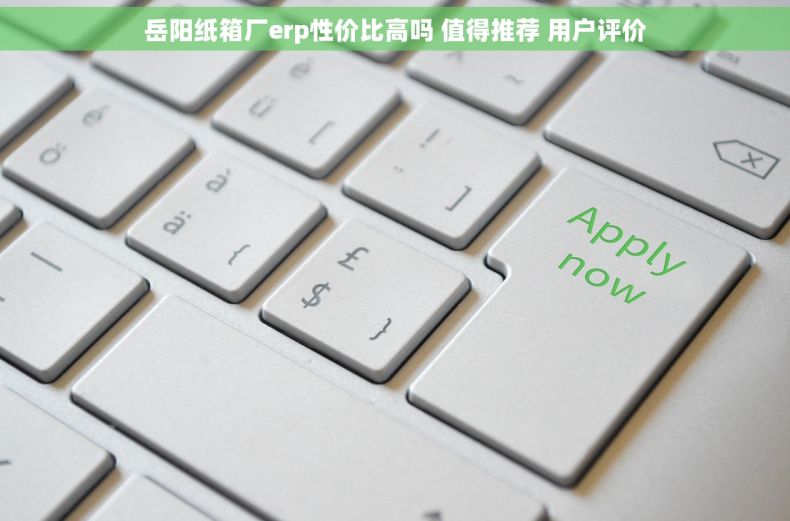 岳阳纸箱厂erp性价比高吗 值得推荐 用户评价