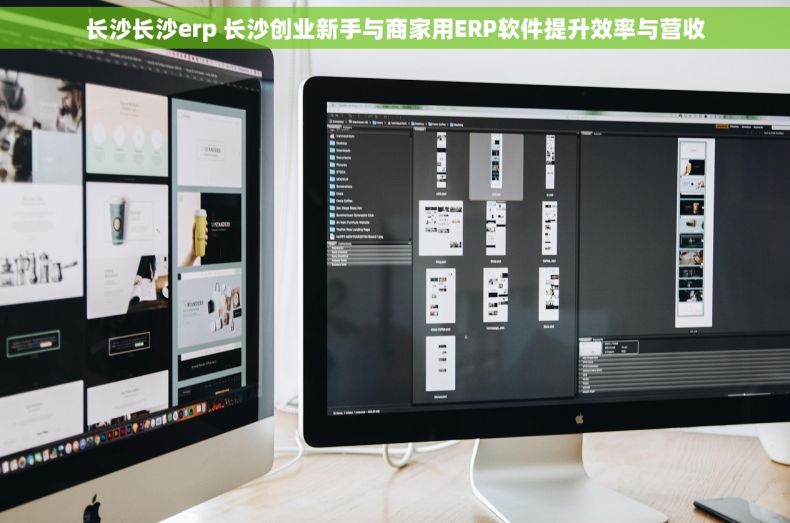 长沙长沙erp 长沙创业新手与商家用ERP软件提升效率与营收