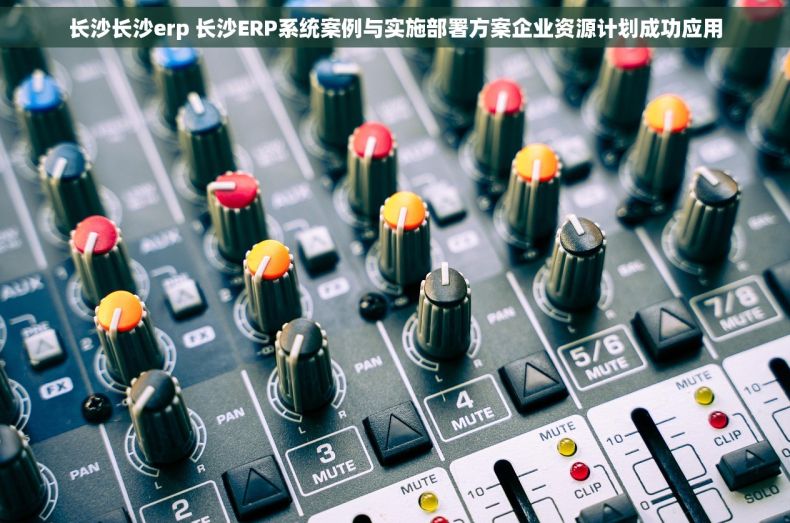 长沙长沙erp 长沙ERP系统案例与实施部署方案企业资源计划成功应用