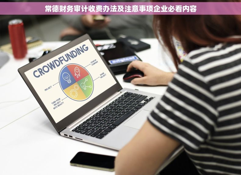 常德财务审计收费办法及注意事项企业必看内容