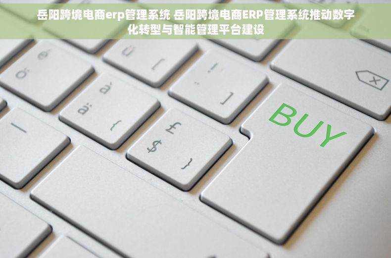 岳阳跨境电商erp管理系统 岳阳跨境电商ERP管理系统推动数字化转型与智能管理平台建设