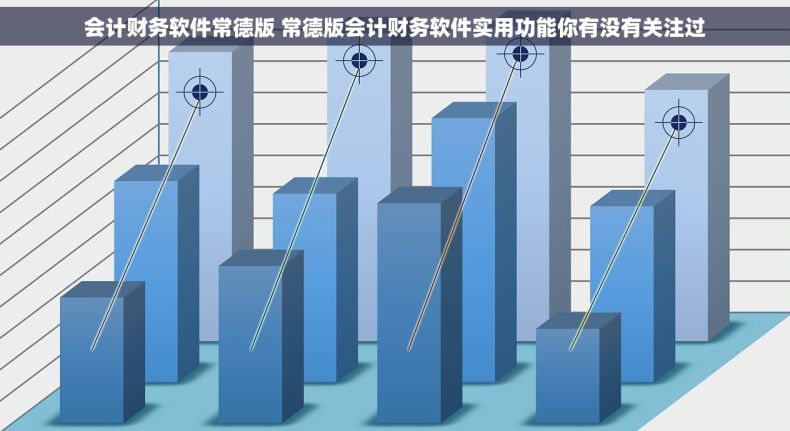 会计财务软件常德版 常德版会计财务软件实用功能你有没有关注过