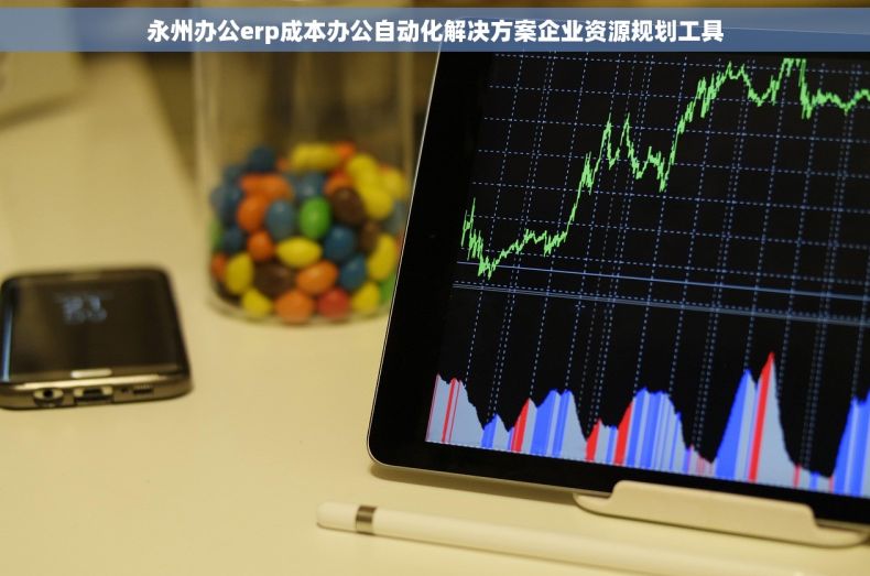 永州办公erp成本办公自动化解决方案企业资源规划工具