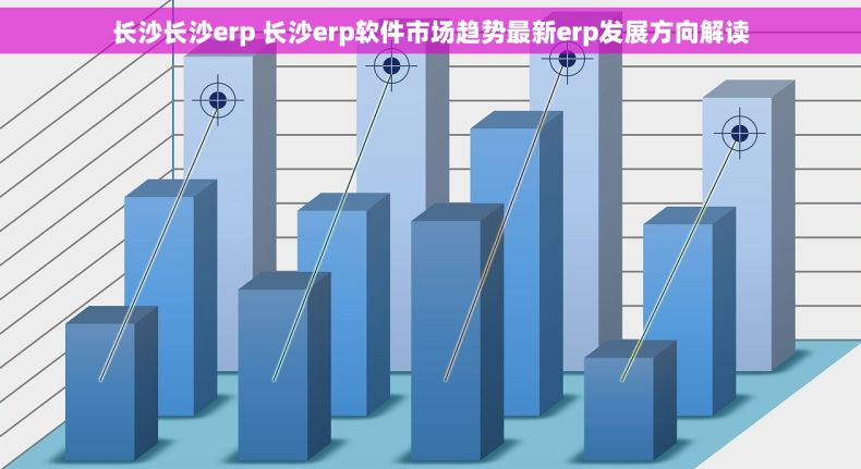 长沙长沙erp 长沙erp软件市场趋势最新erp发展方向解读