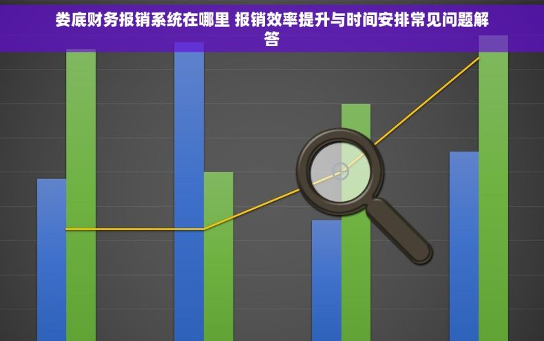 娄底财务报销系统在哪里 报销效率提升与时间安排常见问题解答