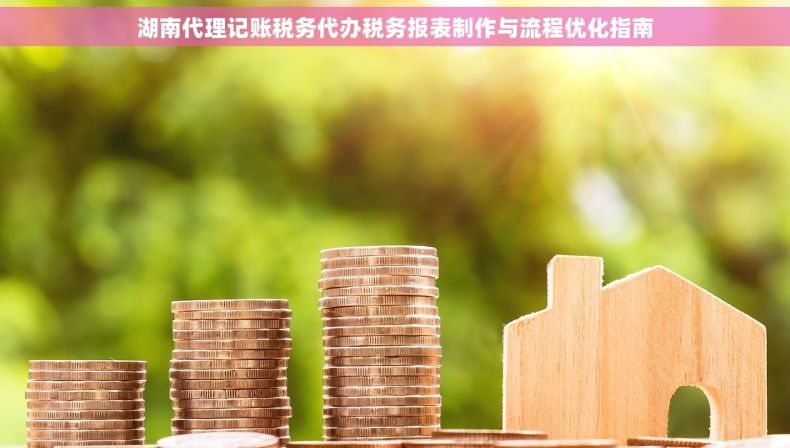 湖南代理记账税务代办税务报表制作与流程优化指南