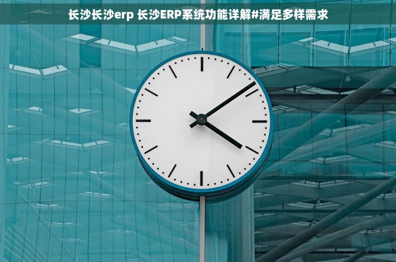 长沙长沙erp 长沙ERP系统功能详解#满足多样需求