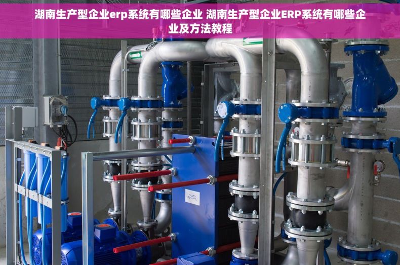 湖南生产型企业erp系统有哪些企业 湖南生产型企业ERP系统有哪些企业及方法教程