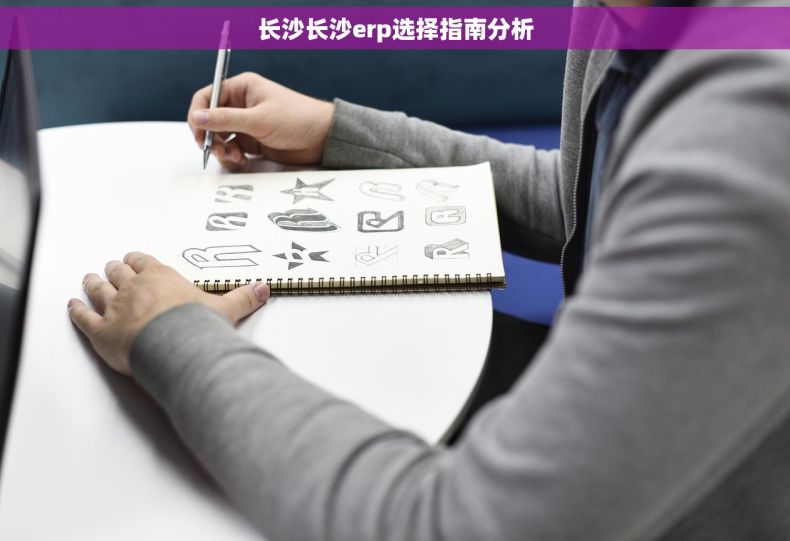 长沙长沙erp选择指南分析