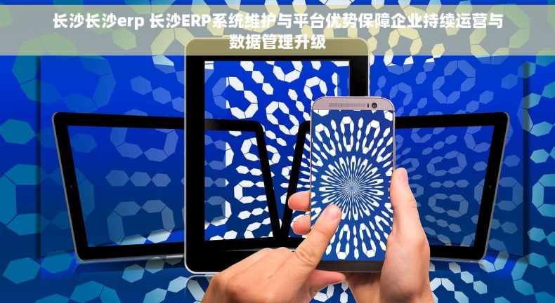 长沙长沙erp 长沙ERP系统维护与平台优势保障企业持续运营与数据管理升级