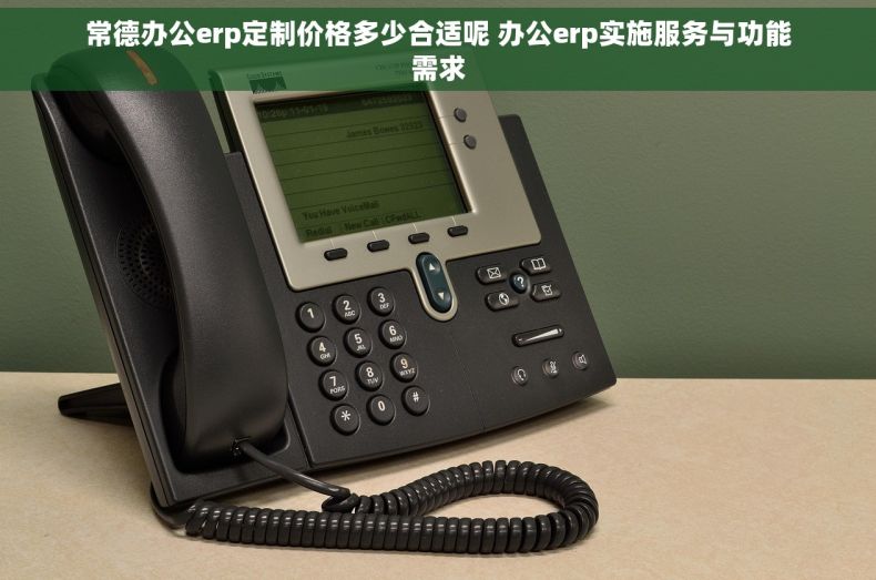 常德办公erp定制价格多少合适呢 办公erp实施服务与功能需求