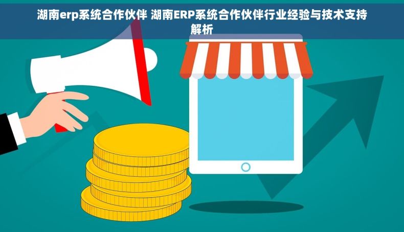 湖南erp系统合作伙伴 湖南ERP系统合作伙伴行业经验与技术支持解析