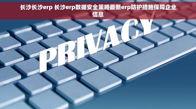 长沙长沙erp 长沙erp数据安全策略最新erp防护措施保障企业信息