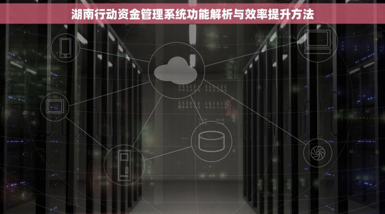 湖南行动资金管理系统功能解析与效率提升方法